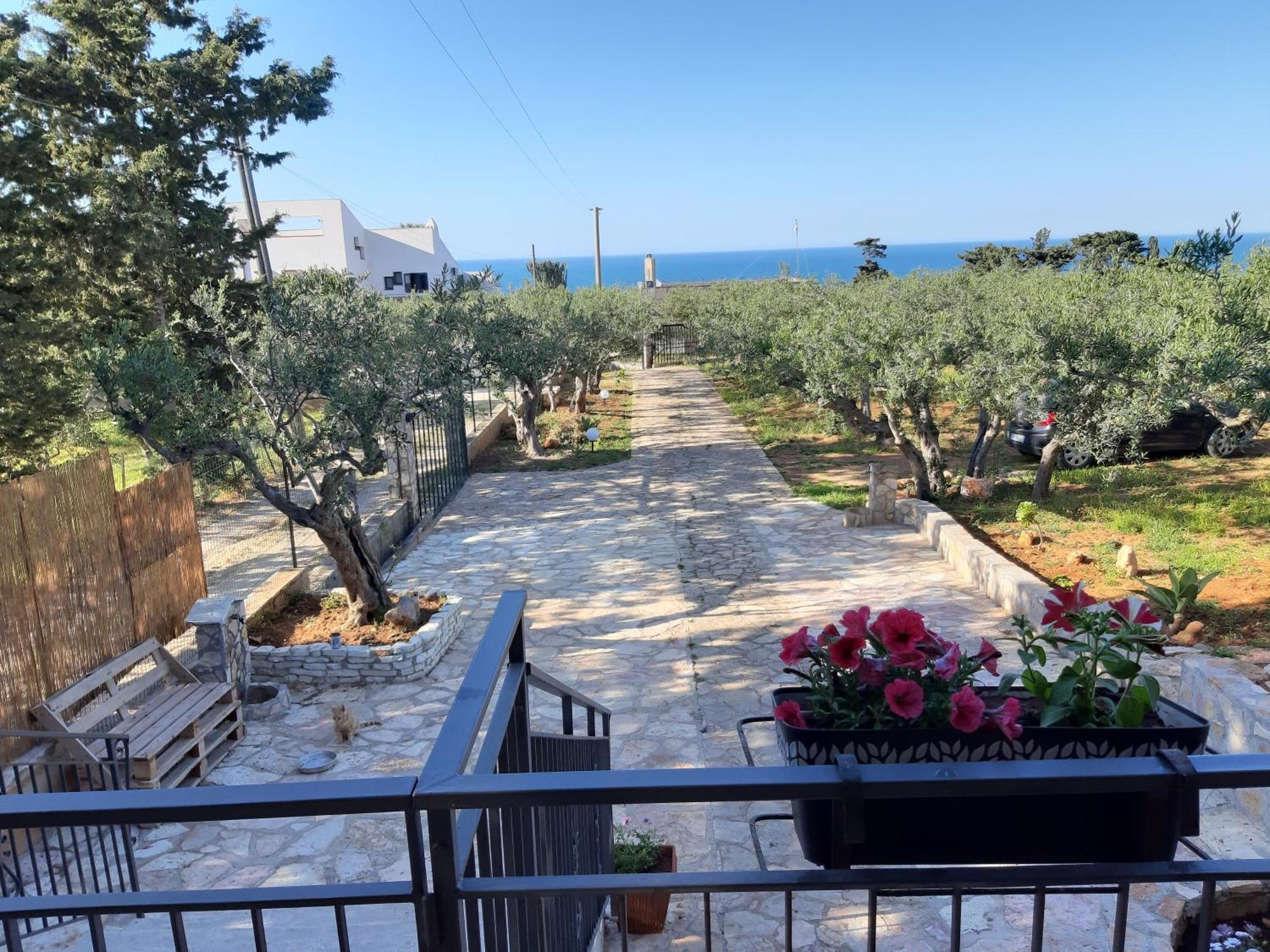 Villa L'Orizzonte Di Calabianca Castellammare del Golfo Exterior foto